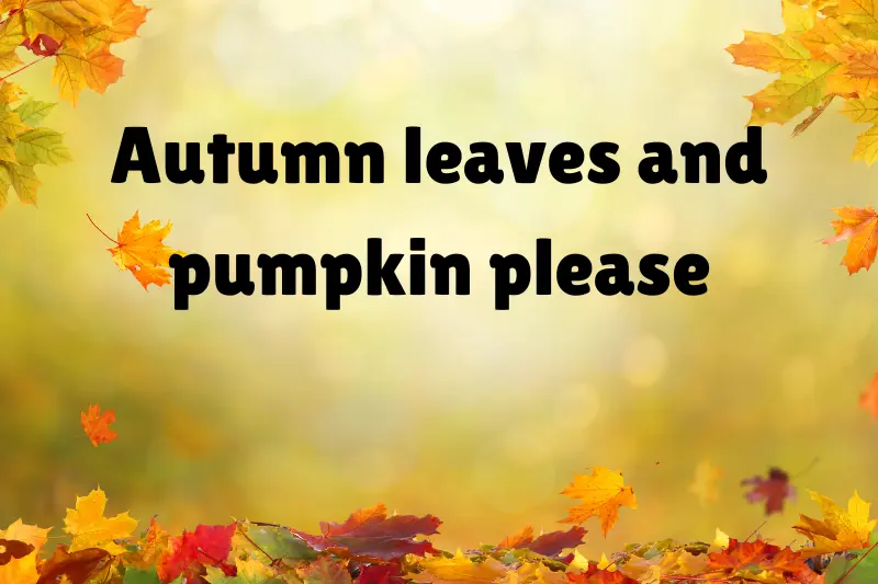 autumn leaves and pumpkin please 