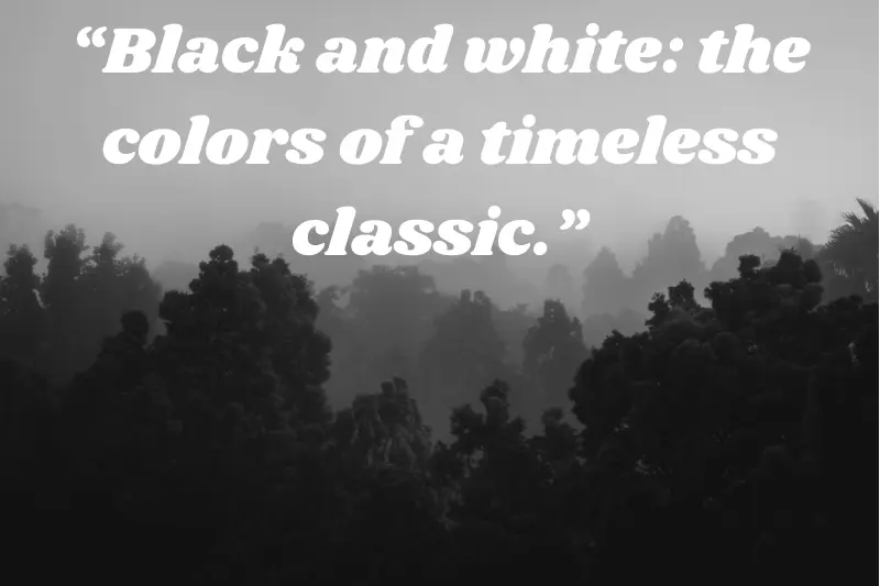 “black and white the colors of a timeless classic.”