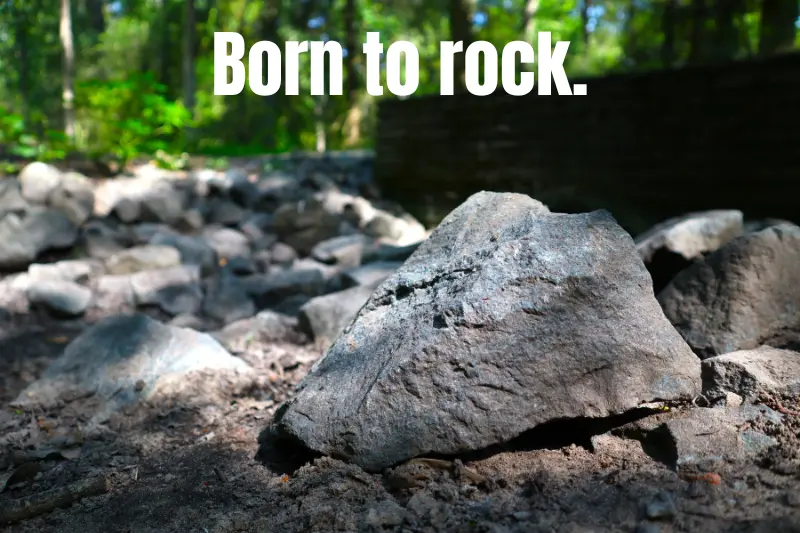born to rock. 