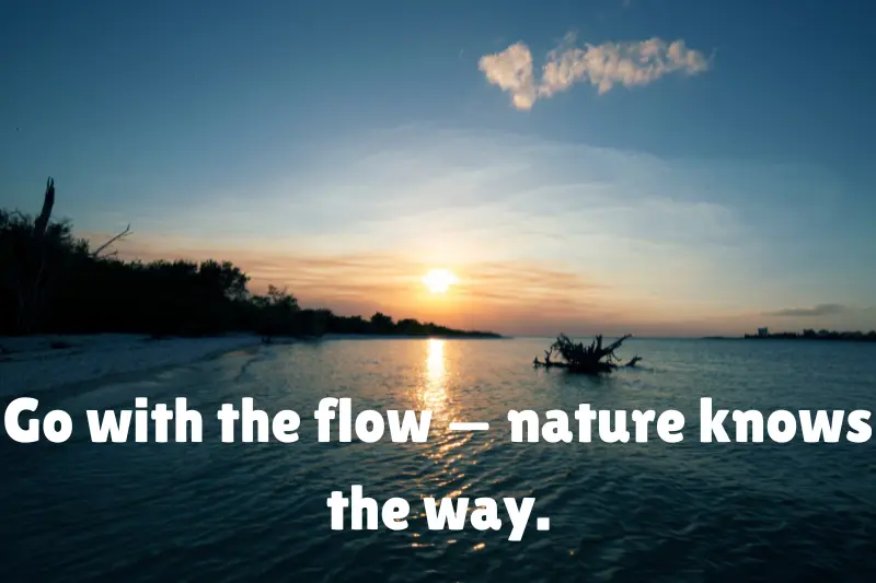 go with the flow — nature knows the way. 