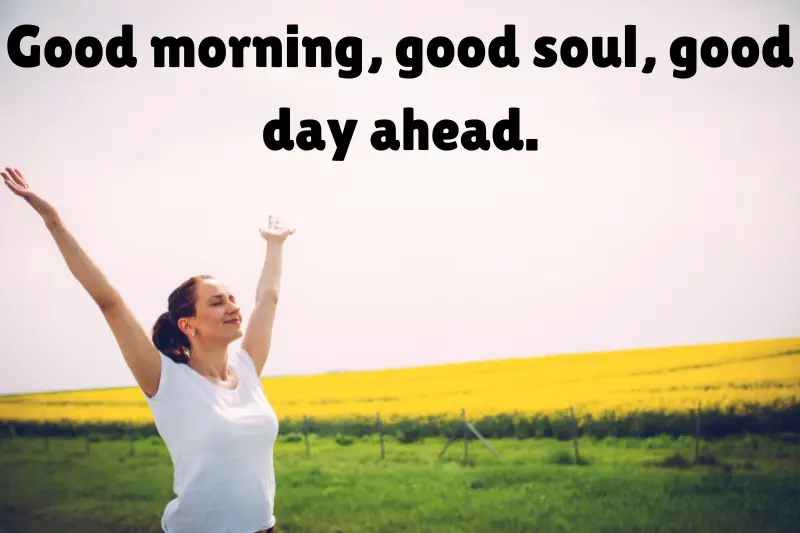 good morning, good soul, good day ahead. 