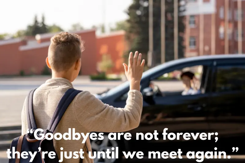 “goodbyes are not forever; they’re just until we meet again.” 
