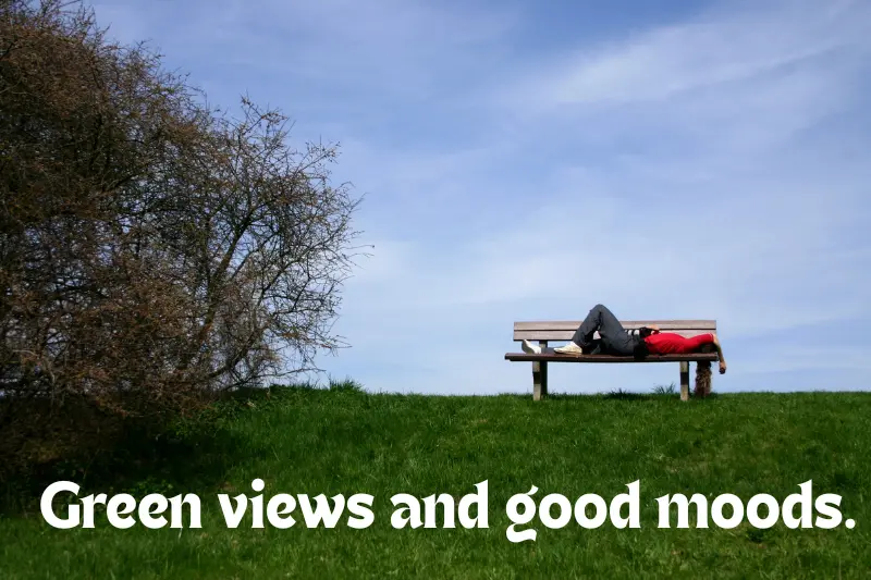 green views and good moods. 