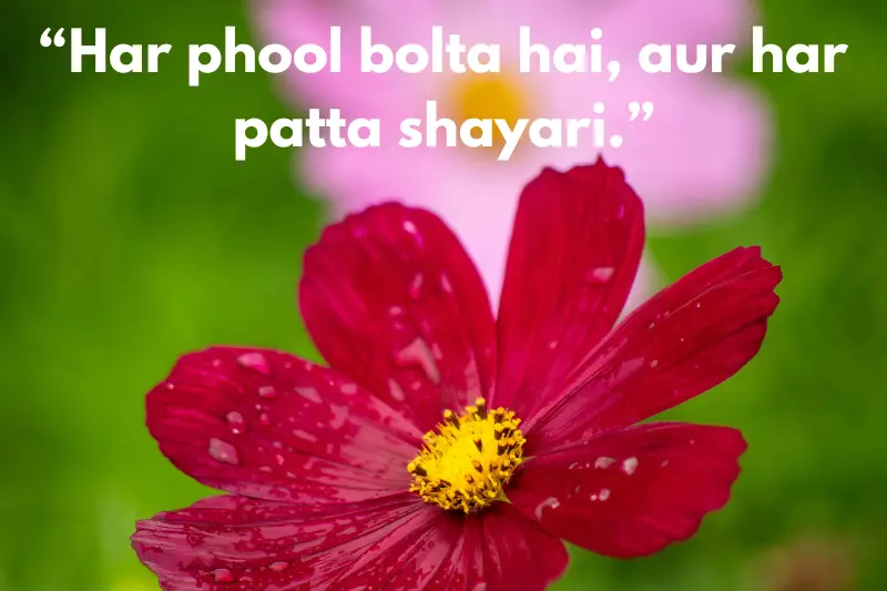 “har phool bolta hai, aur har patta shayari.” 