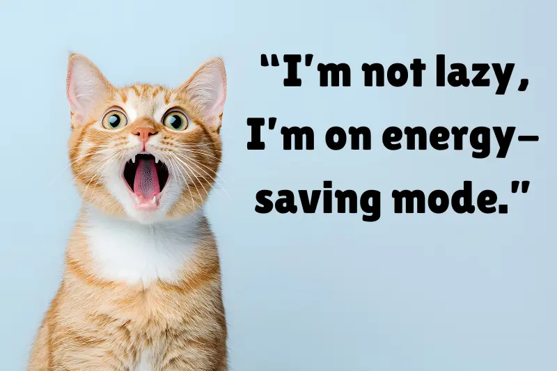 “i’m not lazy, i’m on energy-saving mode.” 