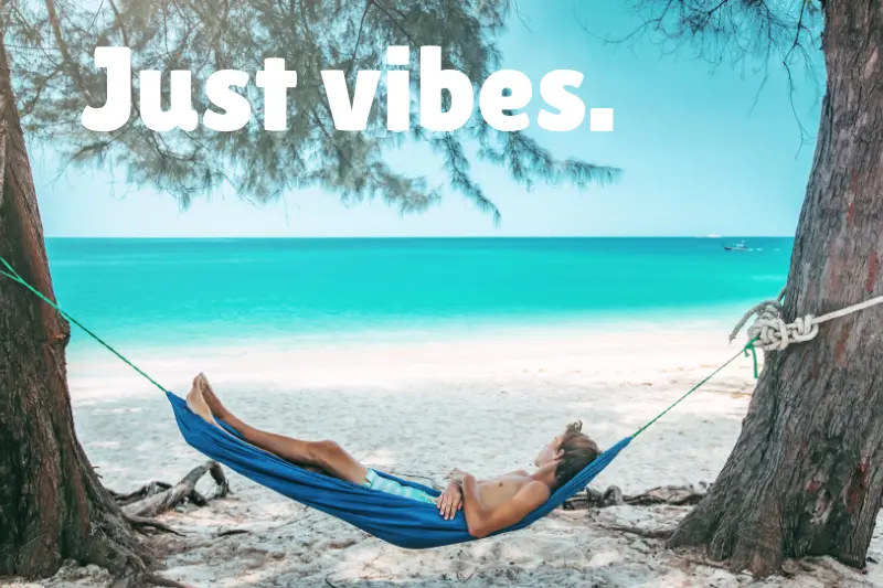 just vibes. 