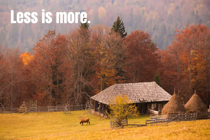 less is more. 