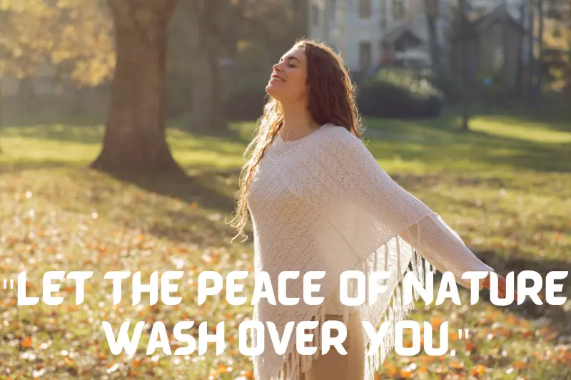 let the peace of nature wash over you.