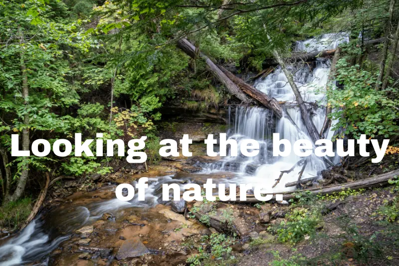 looking at the beauty of nature. 