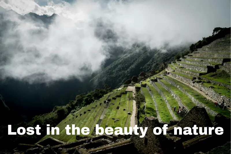 lost in the beauty of nature