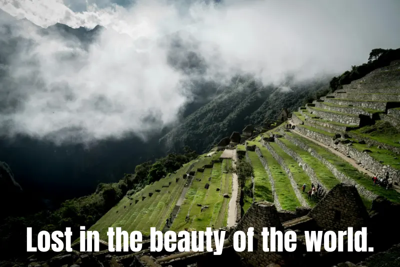 lost in the beauty of the world.