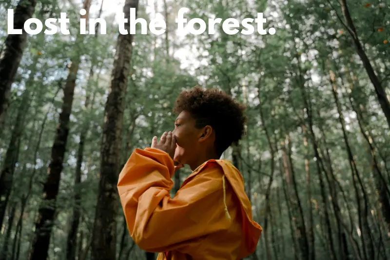 lost in the forest.