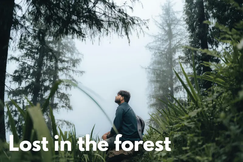 lost in the forest