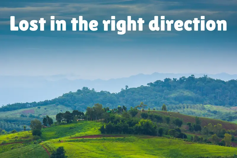 lost in the right direction 