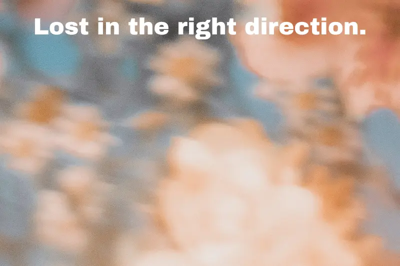 lost in the right direction.