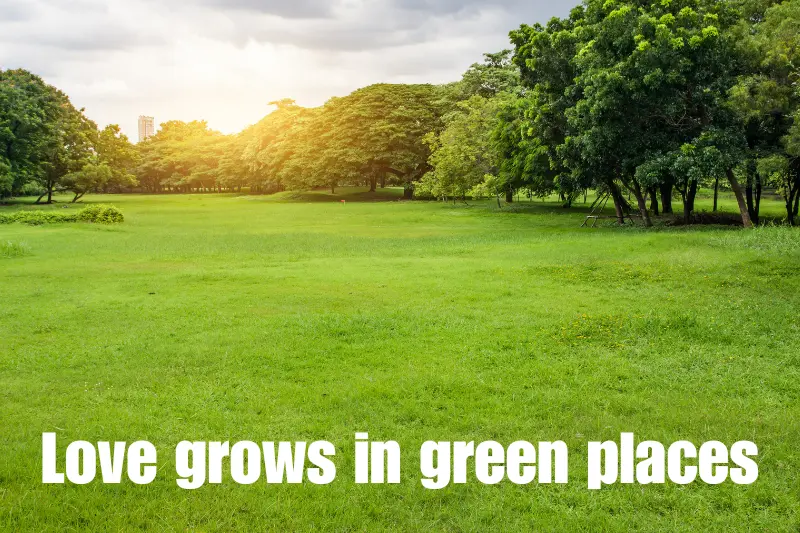 love grows in green places 