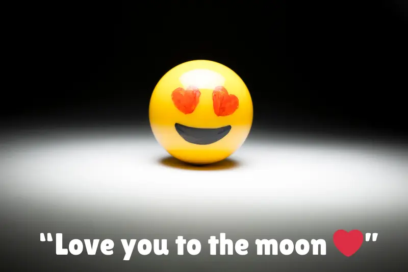 “love you to the moon ” 