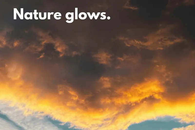 nature glows.