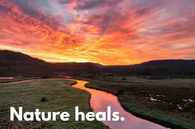 nature heals.