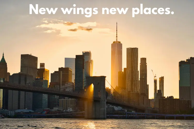 new wings new places. 