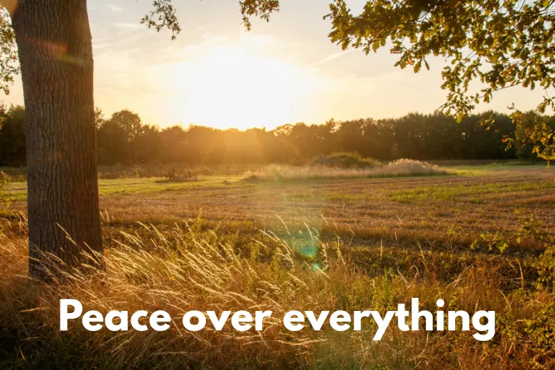 peace over everything 
