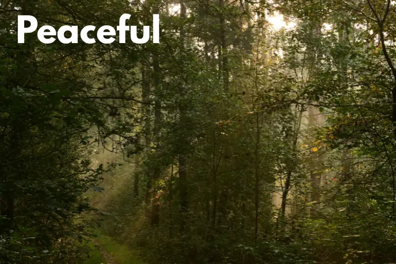peaceful