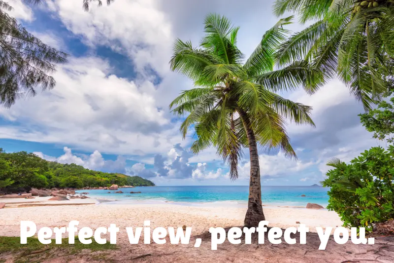 perfect view, perfect you. 