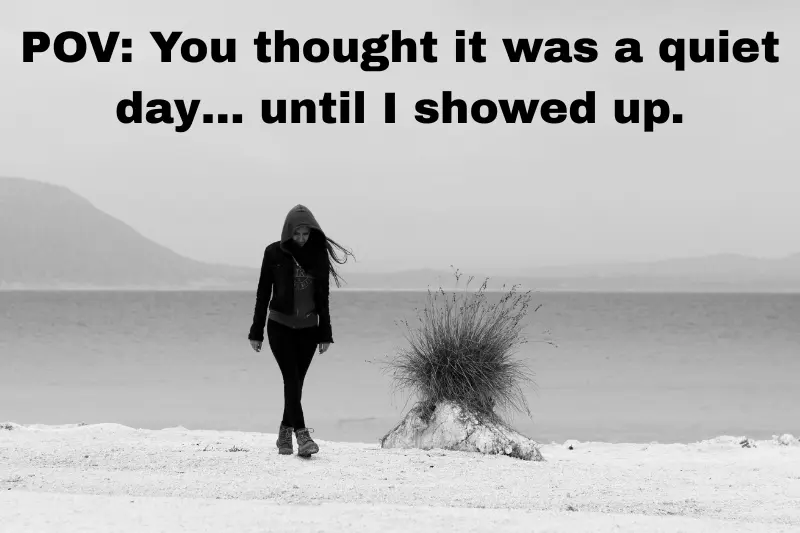 pov You thought it was a quiet day… until i showed up.