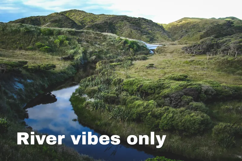 river vibes only