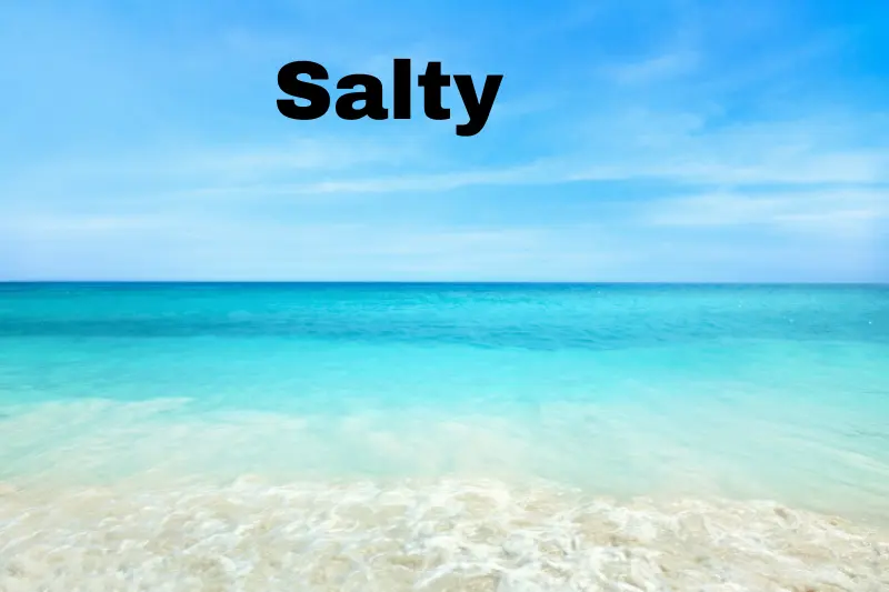 salty 