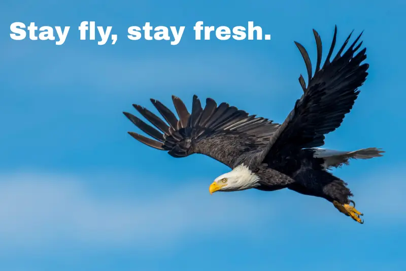 stay fly, stay fresh.