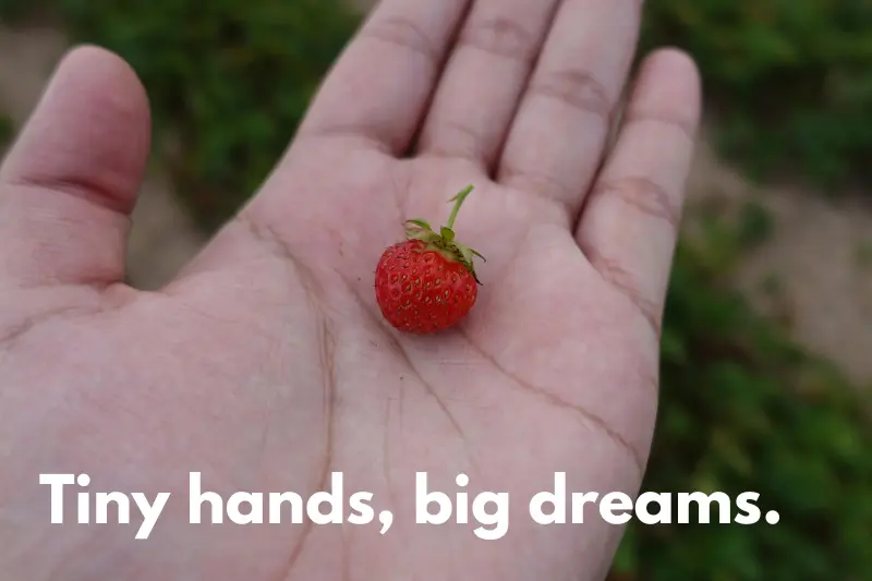 tiny hands, big dreams.
