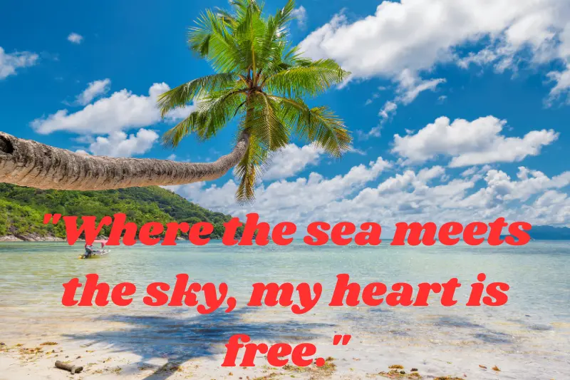 where the sea meets the sky, my heart is free.