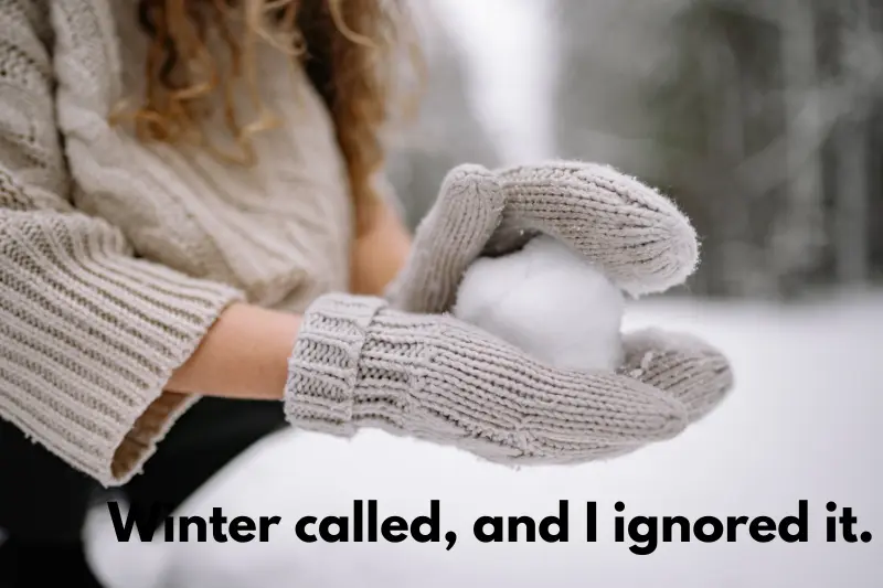 winter called, and i ignored it.