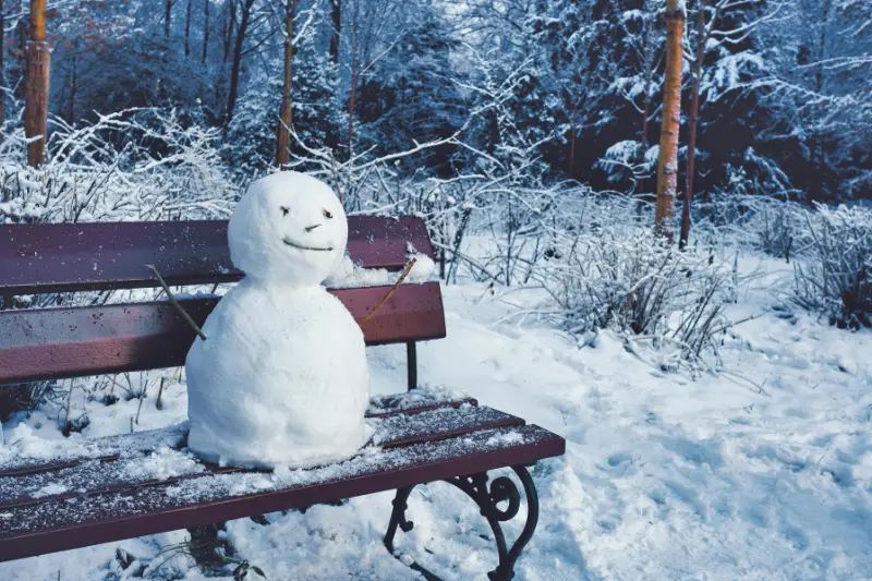 winter called, but i sent it to voicemail.