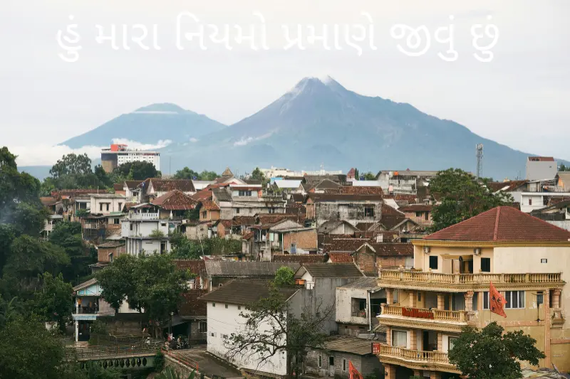 હું મારા નિયમો પ્રમાણે જીવું છું